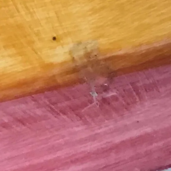 Floral Ceramic Watering Can Planter Hand Painted Spring Happiness Whimsical - Picture 7 of 9